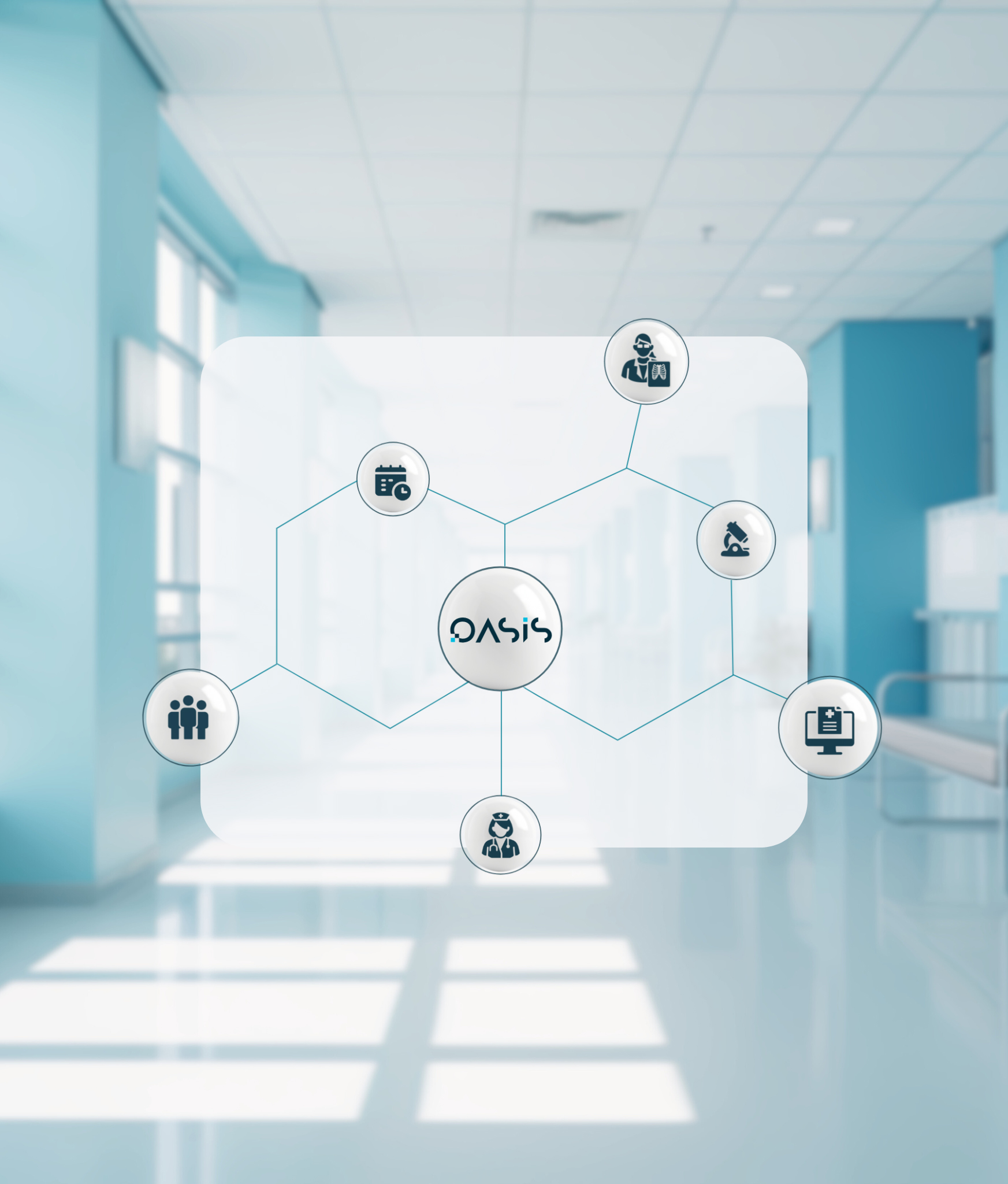 Diagram of the Oasis workflow.